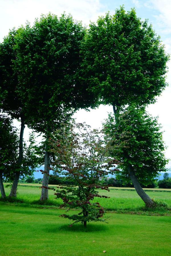 Bed and Breakfast Casa Vola Bisalta Cuneo Exterior foto